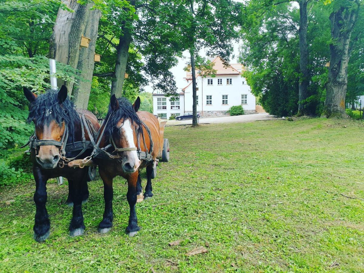 Dwor Nad Jeziorem W Bieniaszach Milakowo Exterior foto